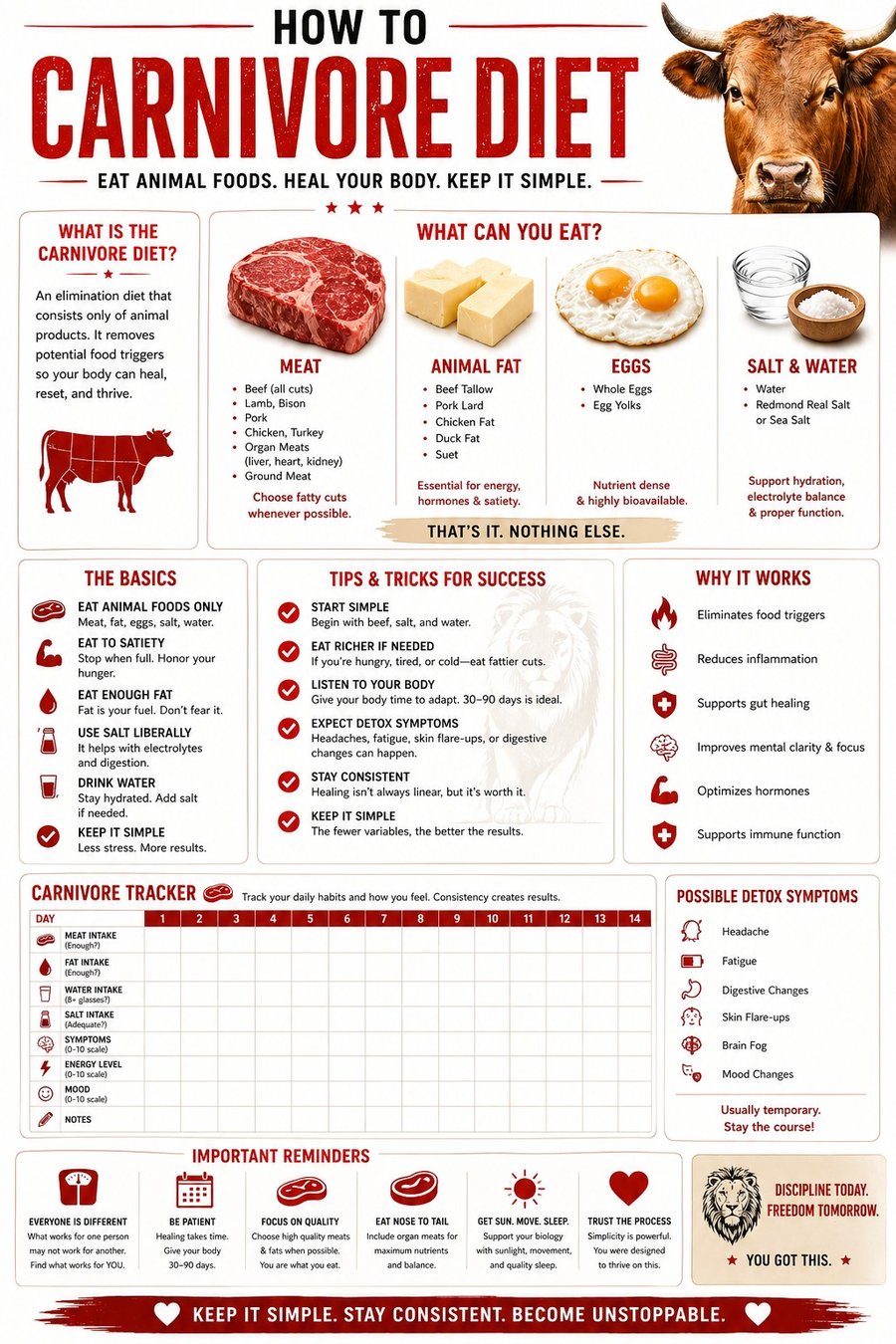 Carnivore how-to guide and 14-day tracker poster on a kitchen wall
