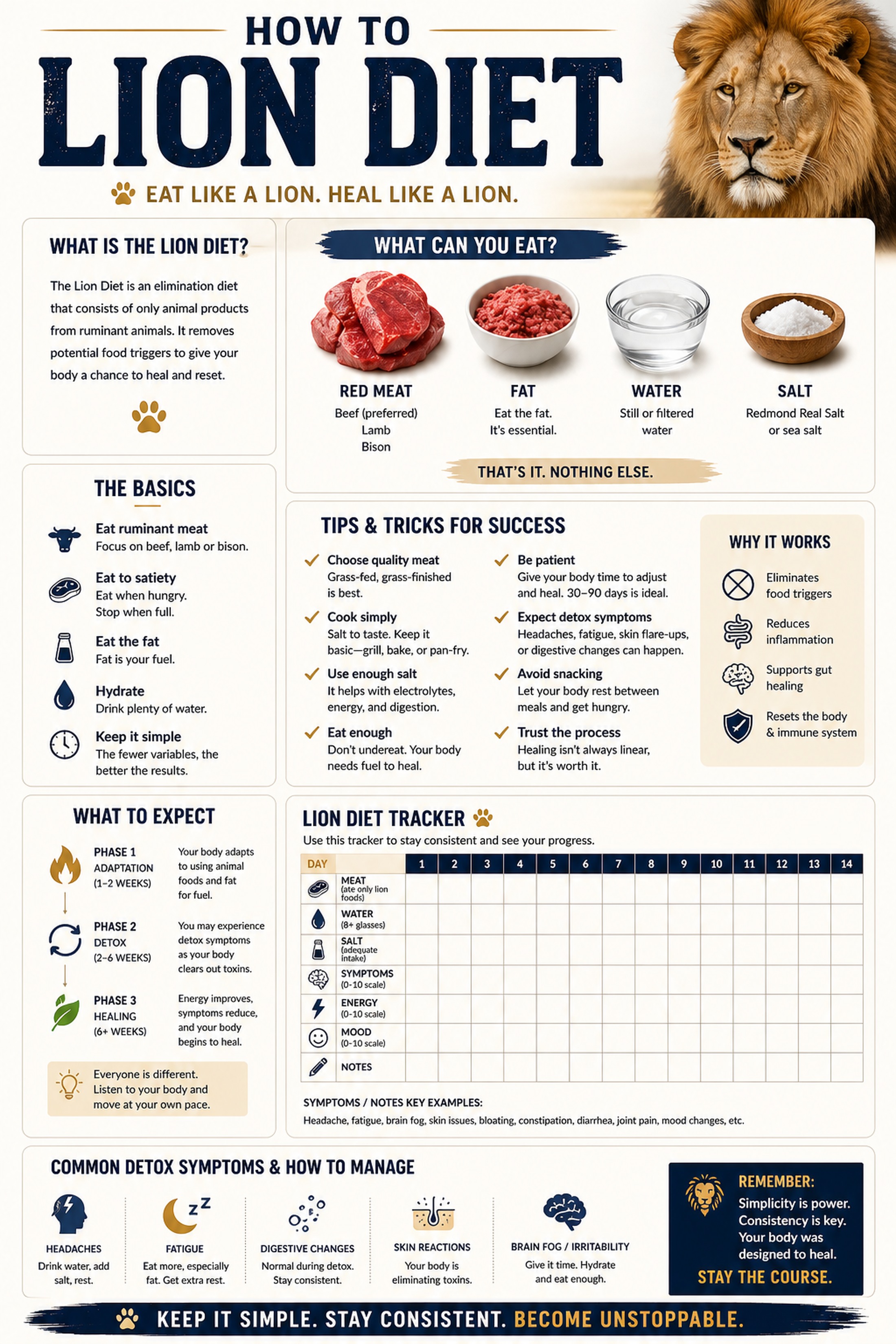 How To Lion Diet Guide and 14-day tracker PDF preview